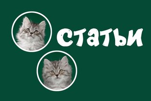 Статьи