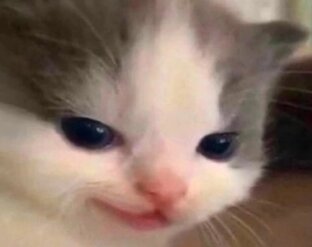 Видосики😼