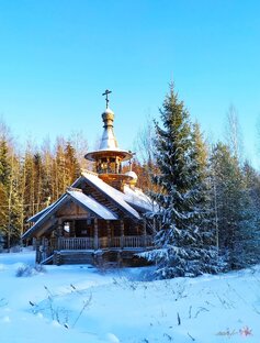 Природа нашей Чащи 