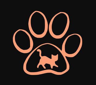 Пробуем разные корма