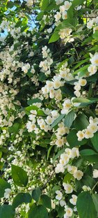 Про медицину