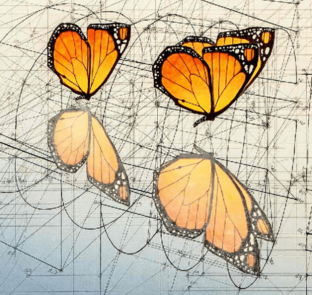 Смешное, интересное, прикольное