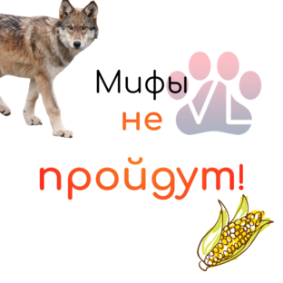 Разоблачение мифов