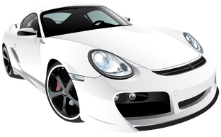 Заводись, тупая железяка!