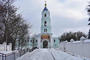 Кошки из монастыря