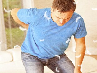 Спина и поясница