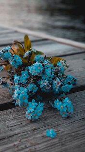 Статьи и мысли 🍒