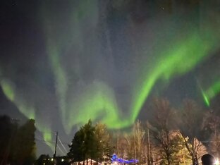 Статьи, посты