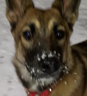 Я во всей красе