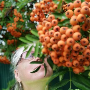 ПРОВИНЦИАЛКА