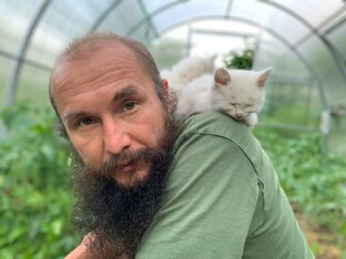 Здоровье (Аюрведа)