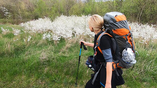 Заметки о походах, избушке, животных, приключениях