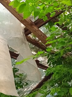 Что-то удивительно прекрасное, таится в этом месте 