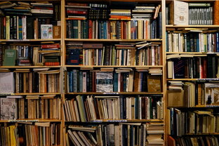 5 рабочих параметров оценки книги