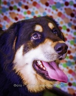 Мероприятия и важные события в Теремке