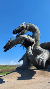 Липецкая область