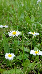 2022 в Германии 