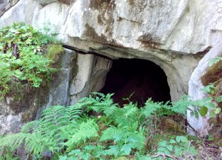 Сибирский сталкер