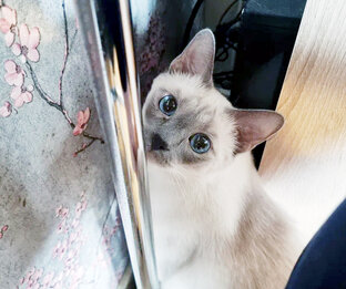 Вспомнить всё 💡