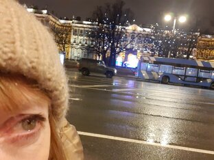 Полёты заводной птицы