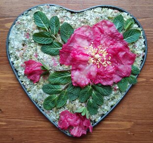 Блюда из творога и яиц