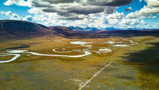 Русалочья заводь