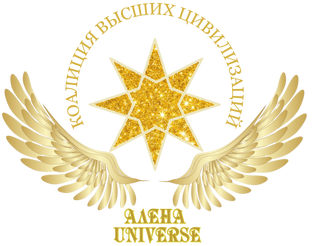 Моя деятельность