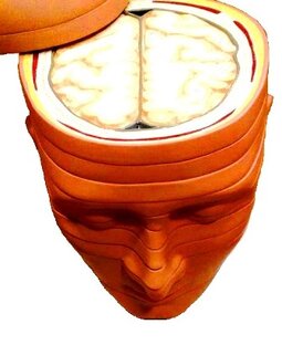 Великолепный мозг