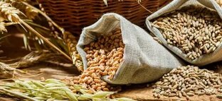 Работа с зерновыми и фруктовым сырьём