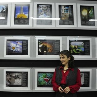 Фотопоэзия Светланы Дерепашук
