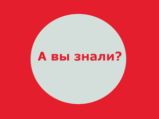 Интересные Факты