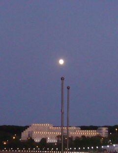 Обсуждения политической жизни