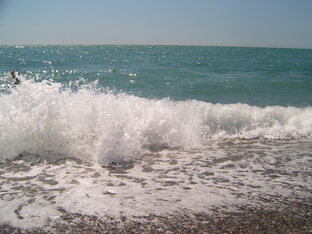 Тесты на знание. Проверь свою эрудицию. 