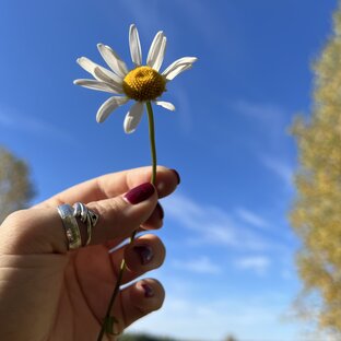 ПРЕДСКАЗАНИЯ И ВОЛШЕБСТВО