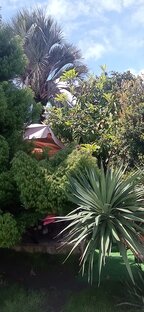 Поездки по Абхазии