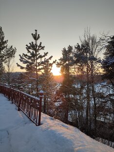 Санкт-Петербург и Ленинградская область