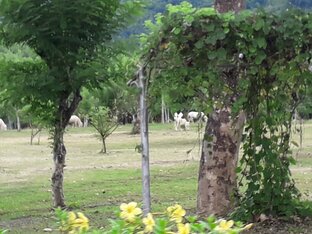 Счастливое семейство