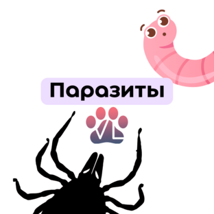 Паразитология