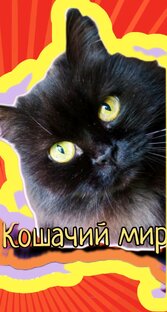 Кошачий мир 1 сезон