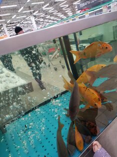 Что такое ЖКХ? 