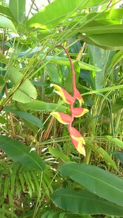 Таиланд. Видео и статьи