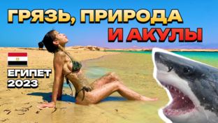 Путешествия