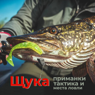 Ловля щуки по открытой воде.