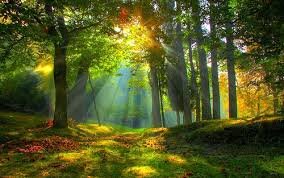 Истрии из дома, стоящего на бывшем кладбище