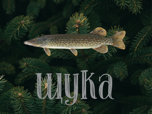 Щука