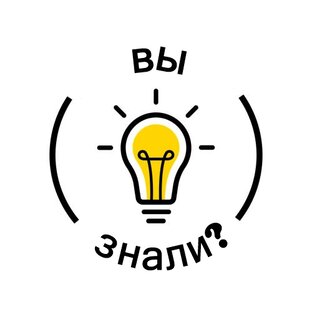 Факты о писателях