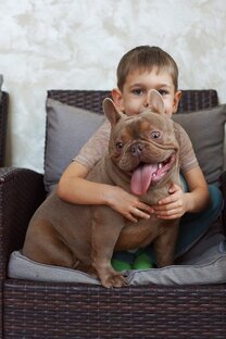 Балу