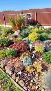 Видеообзоры сада