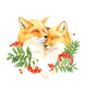 Лисьи истории