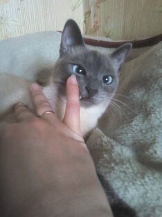 Мы растем и становимся всё своенравнее и избалованее